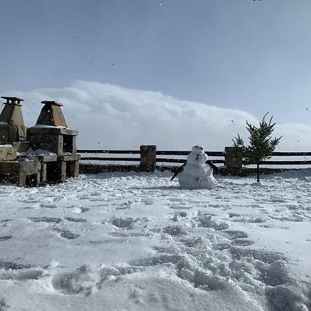 Mountain Chalet Covilha Exterior photo